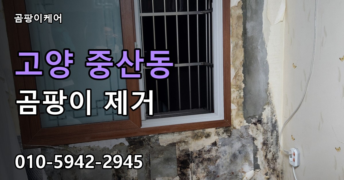 고양 중산동 곰팡이 제거 - 곰팡이케어 실제 시공 현장