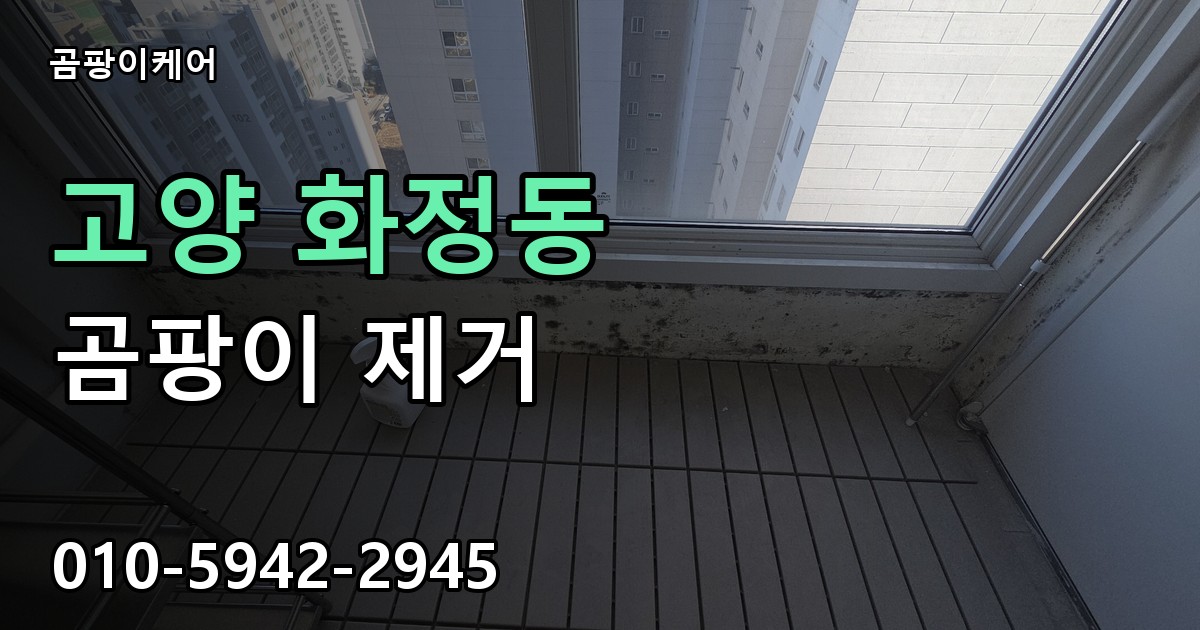 고양 화정동 곰팡이 제거 - 곰팡이케어 실제 시공 현장