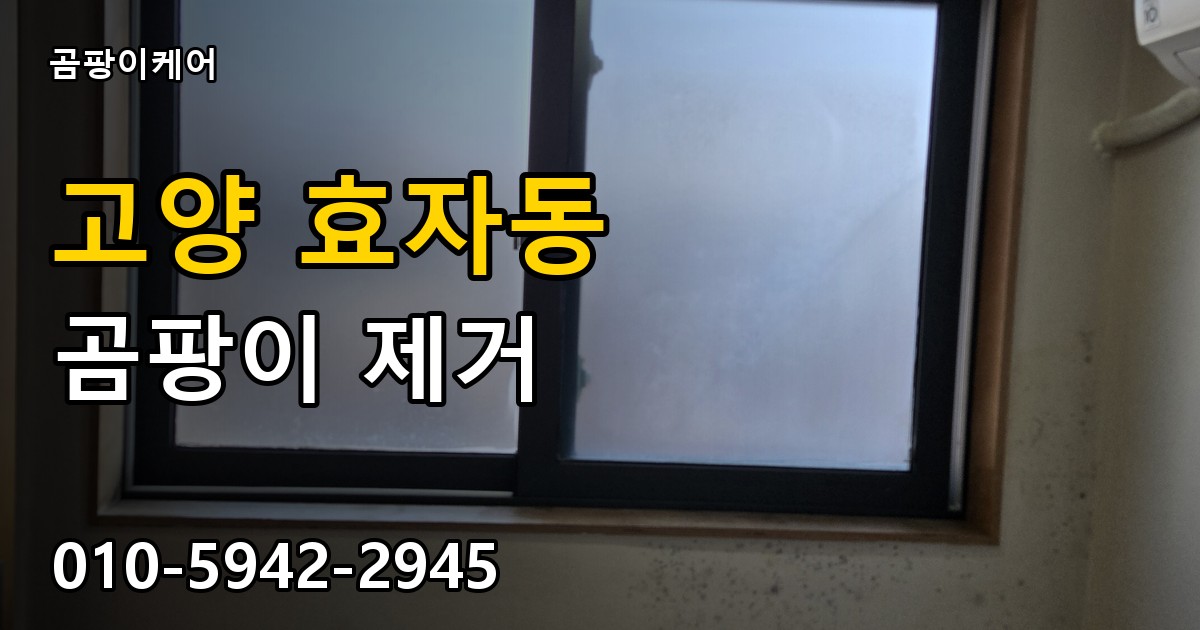 고양 효자동 곰팡이 제거 - 곰팡이케어 실제 시공 현장