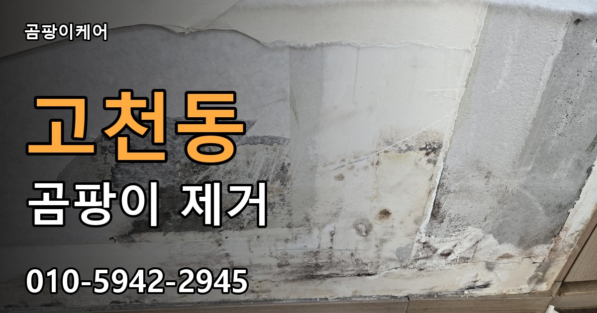 고천동 곰팡이 제거 - 곰팡이케어 실제 시공 현장
