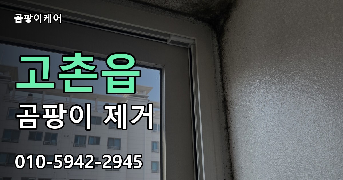 고촌읍 곰팡이 제거 - 곰팡이케어 실제 시공 현장