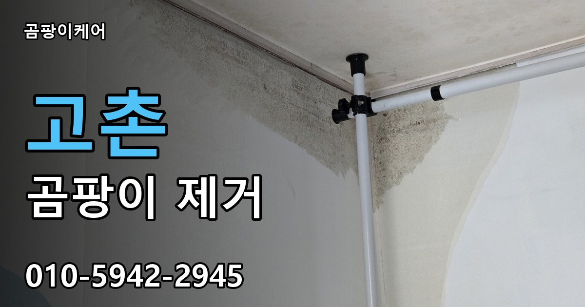 고촌 곰팡이 제거 - 곰팡이케어 실제 시공 현장