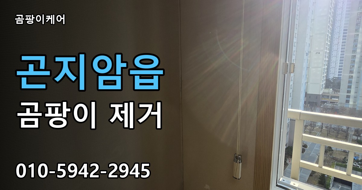 곤지암읍 곰팡이 제거 - 곰팡이케어 실제 시공 현장