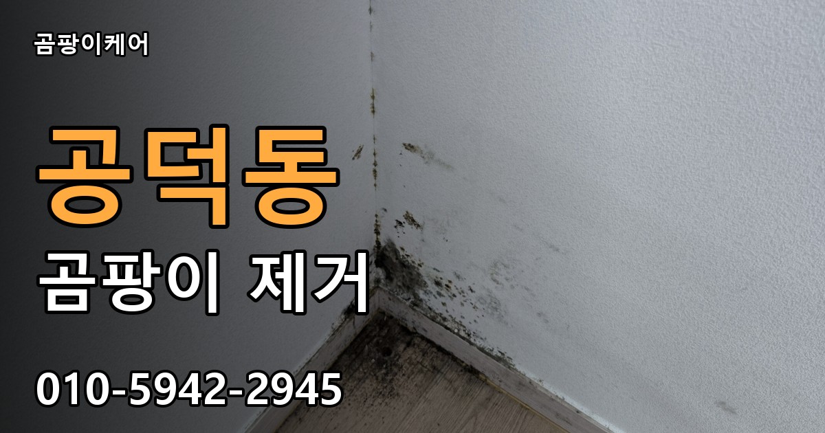 공덕동 곰팡이 제거 - 곰팡이케어 실제 시공 현장