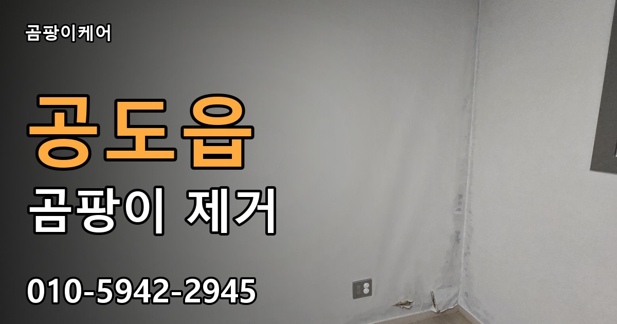 공도읍 곰팡이 제거 - 곰팡이케어 실제 시공 현장