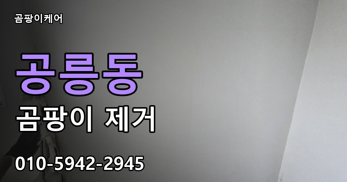 공릉동 곰팡이 제거 - 곰팡이케어 실제 시공 현장