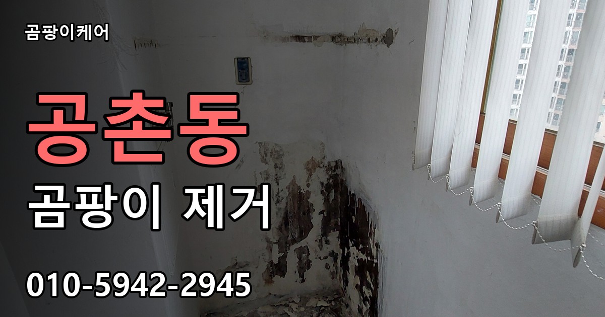 공촌동 곰팡이 제거 - 곰팡이케어 실제 시공 현장