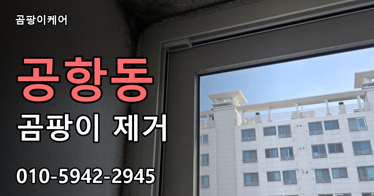 공항동 곰팡이 제거 - 곰팡이케어 실제 시공 현장