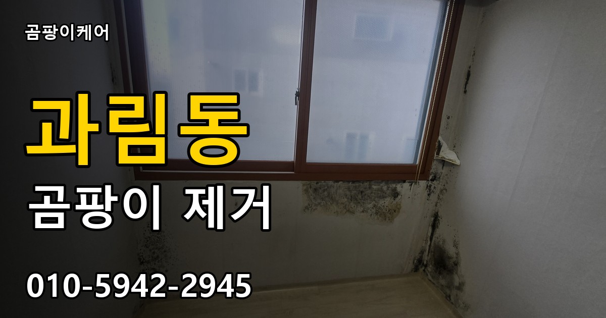 과림동 곰팡이 제거 - 곰팡이케어 실제 시공 현장