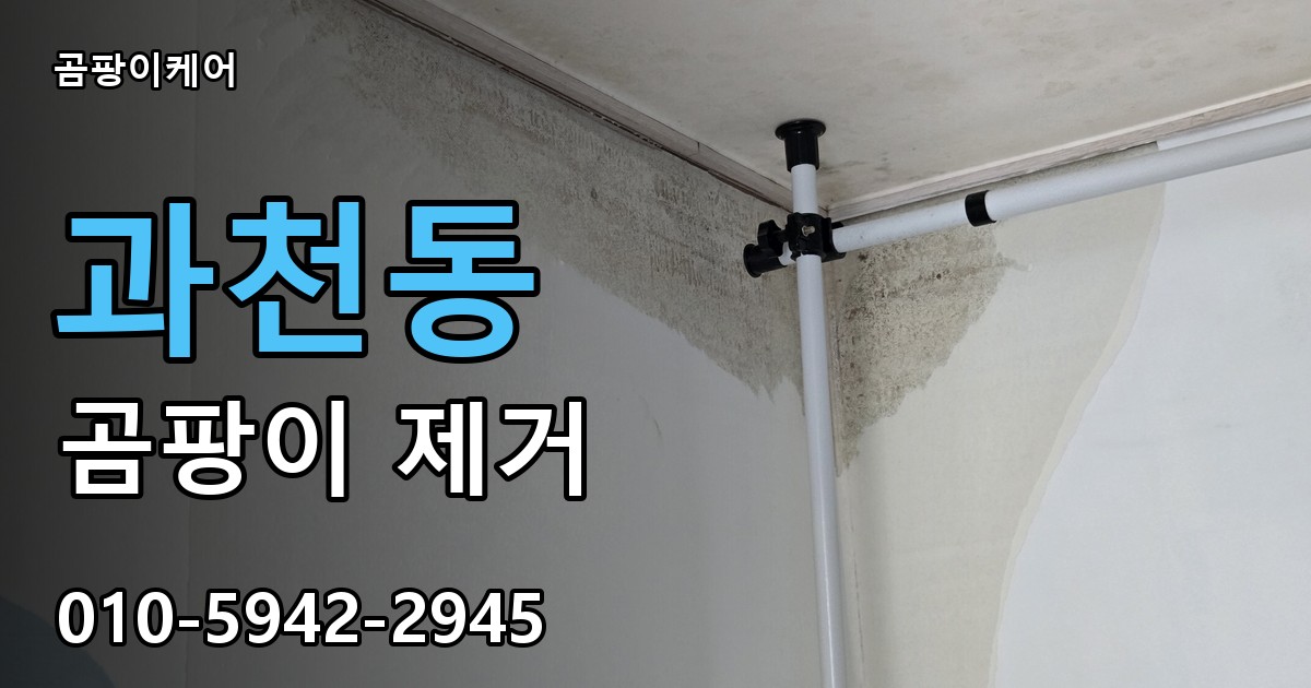 과천동 곰팡이 제거 - 곰팡이케어 실제 시공 현장