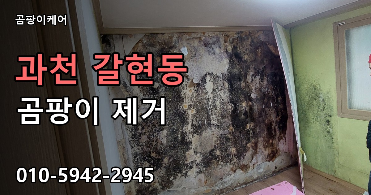 과천 갈현동 곰팡이 제거 - 곰팡이케어 실제 시공 현장