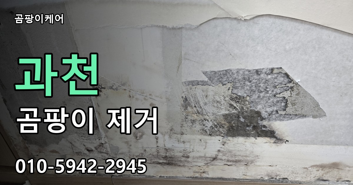 과천 곰팡이 제거 - 곰팡이케어 실제 시공 현장