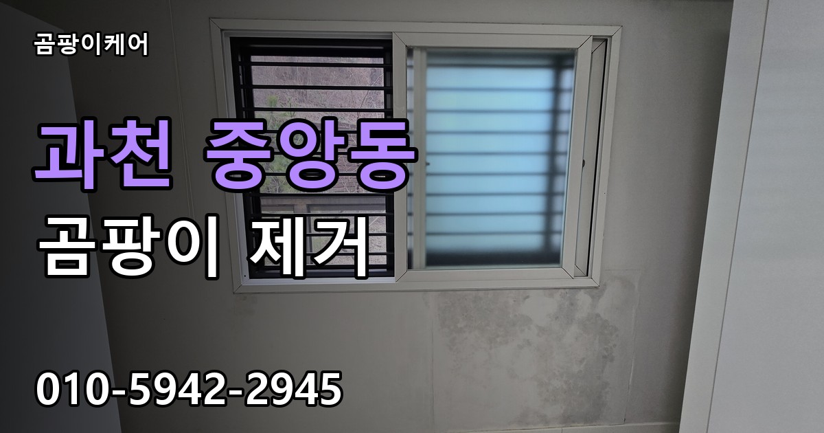 과천 중앙동 곰팡이 제거 - 곰팡이케어 실제 시공 현장