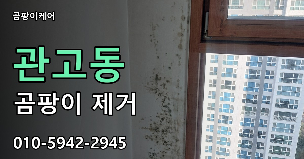 관고동 곰팡이 제거 - 곰팡이케어 실제 시공 현장