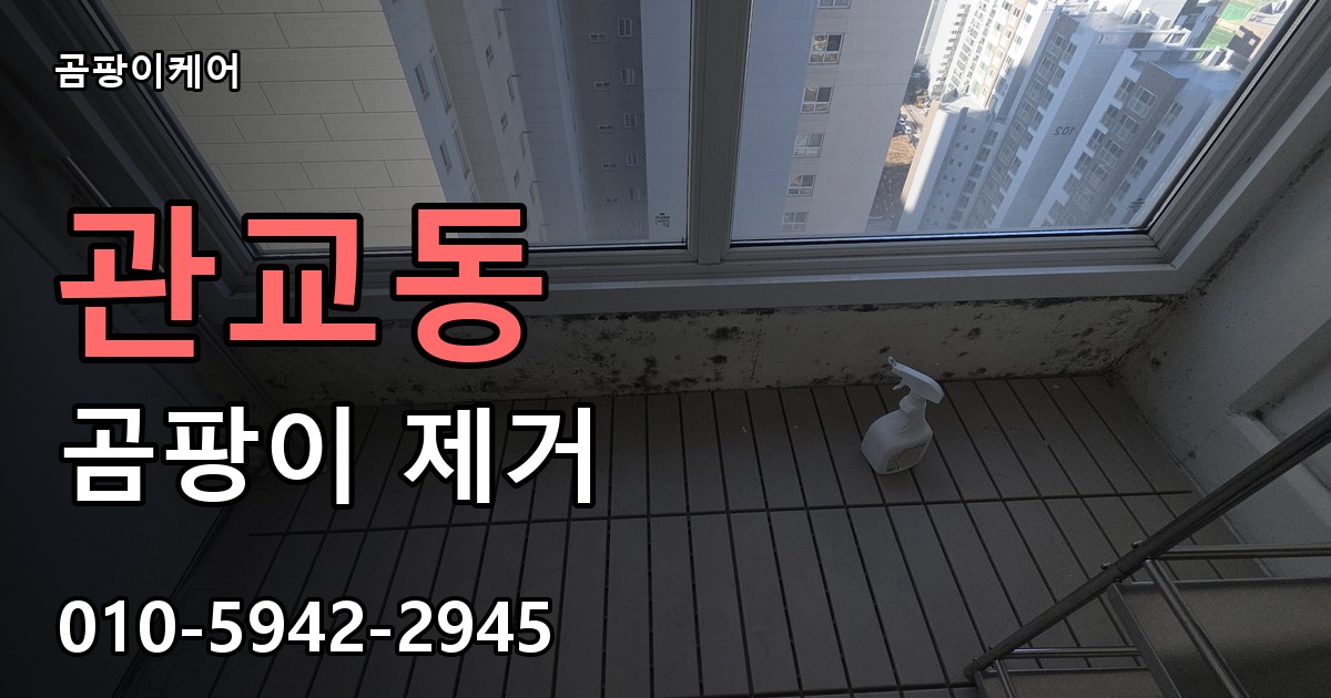 관교동 곰팡이 제거 - 곰팡이케어 실제 시공 현장