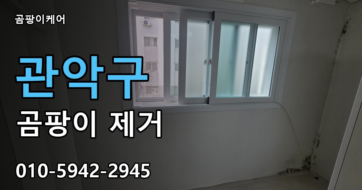 관악구 곰팡이 제거 - 곰팡이케어 실제 시공 현장