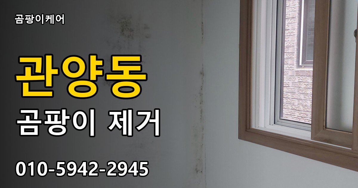 관양동 곰팡이 제거 - 곰팡이케어 실제 시공 현장