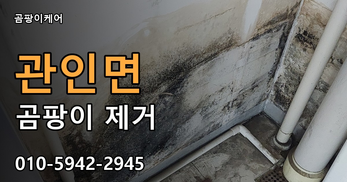 관인면 곰팡이 제거 - 곰팡이케어 실제 시공 현장