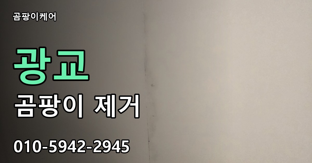 광교 곰팡이 제거 - 곰팡이케어 실제 시공 현장