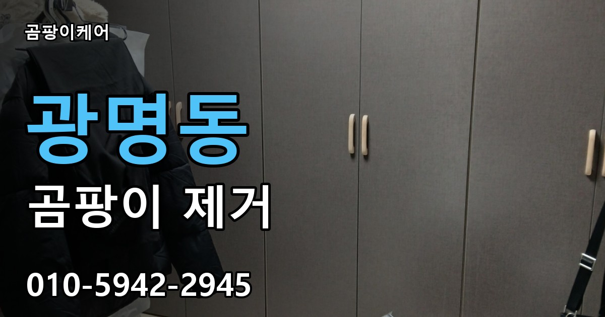 광명동 곰팡이 제거 - 곰팡이케어 실제 시공 현장