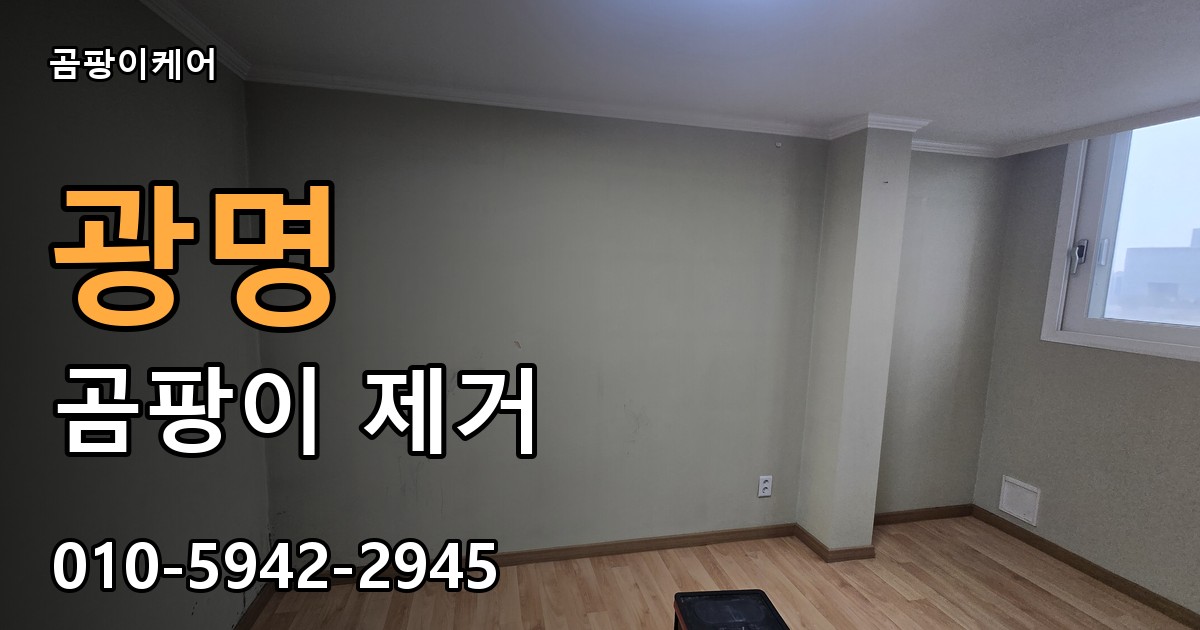 광명 곰팡이 제거 - 곰팡이케어 실제 시공 현장