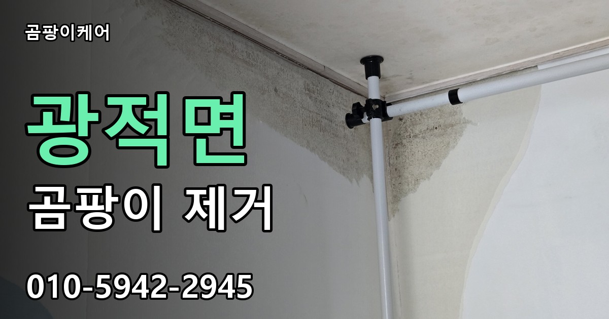 광적면 곰팡이 제거 - 곰팡이케어 실제 시공 현장