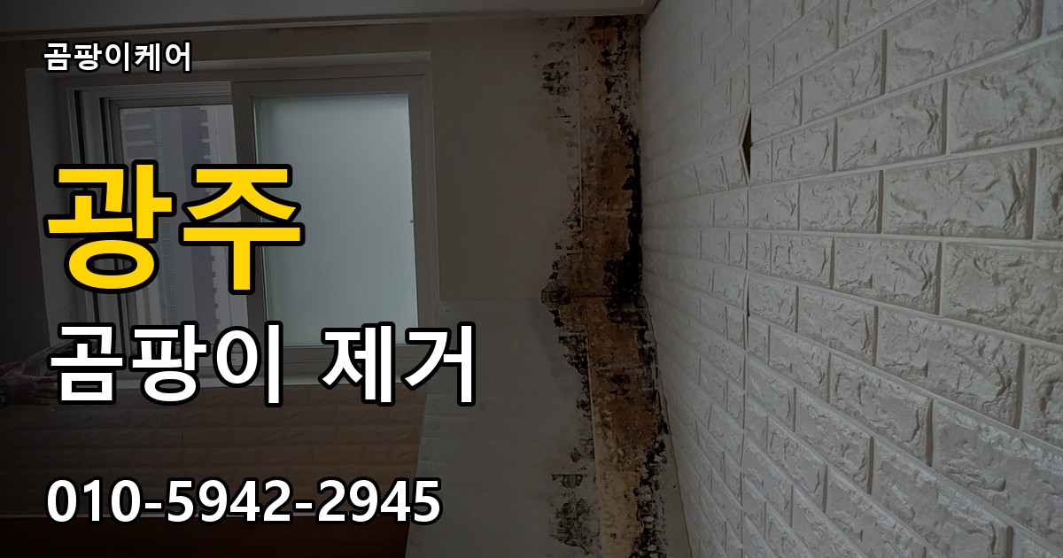 광주 곰팡이 제거 - 곰팡이케어 실제 시공 현장