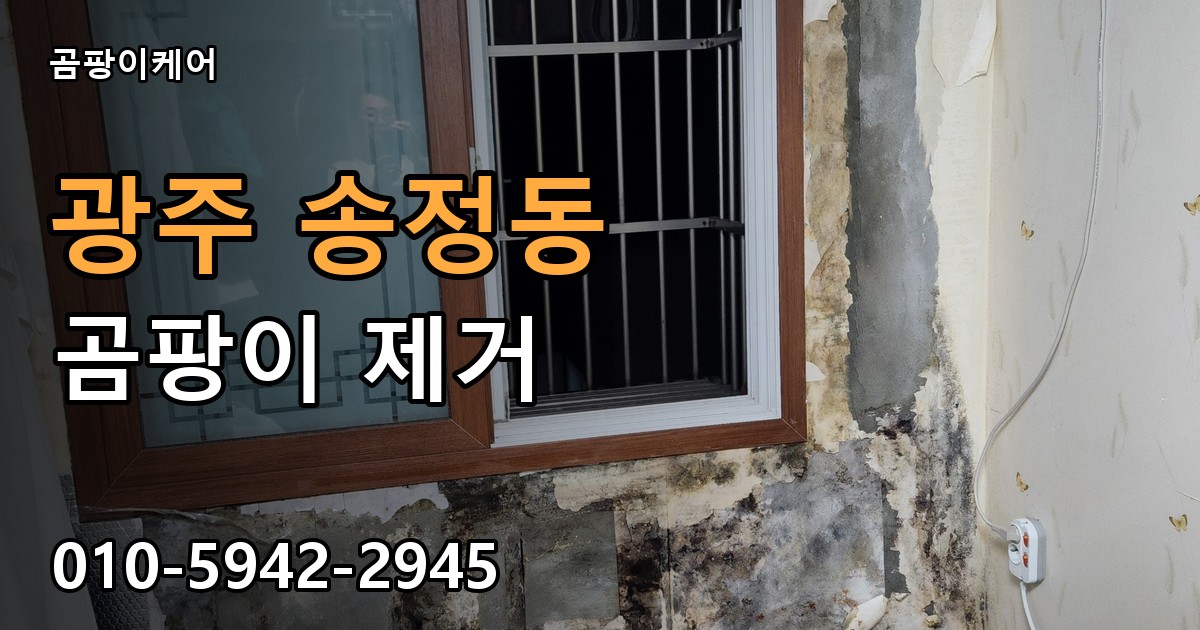 광주 송정동 곰팡이 제거 - 곰팡이케어 실제 시공 현장