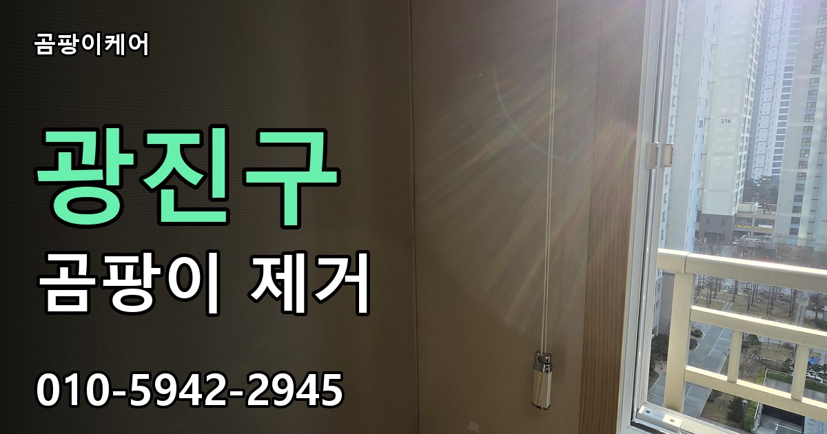 광진구 곰팡이 제거 - 곰팡이케어 실제 시공 현장