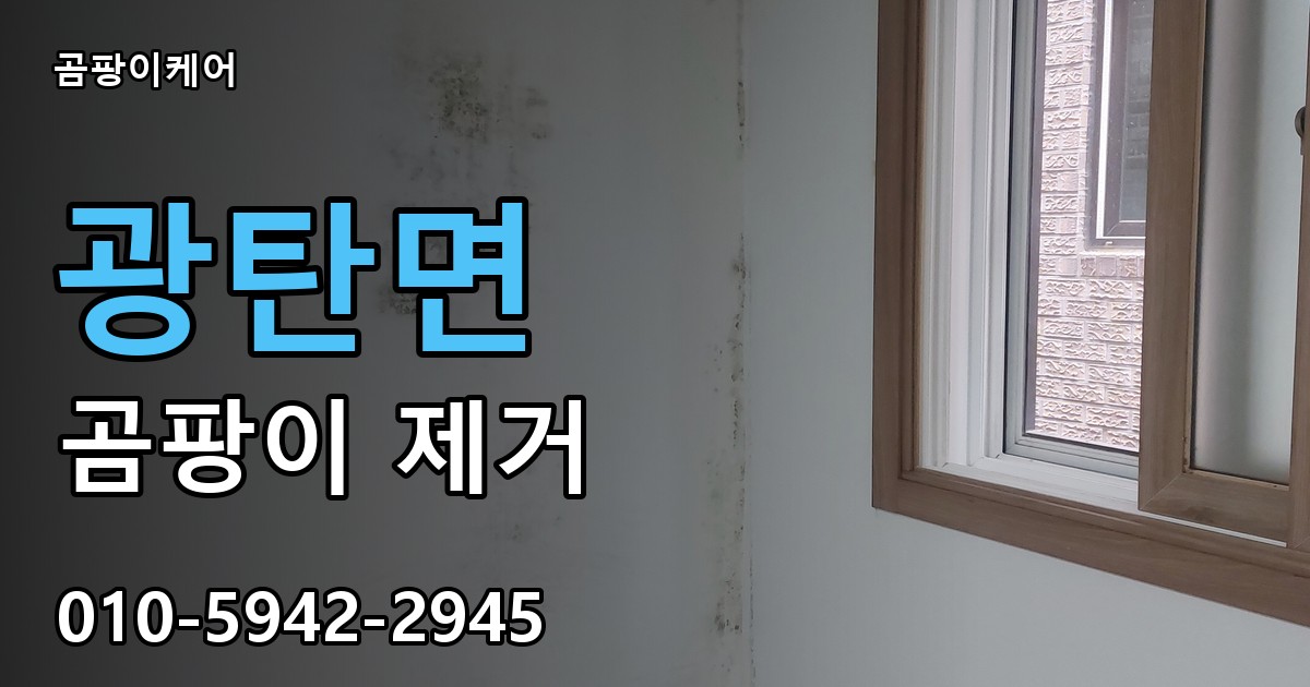 광탄면 곰팡이 제거 - 곰팡이케어 실제 시공 현장