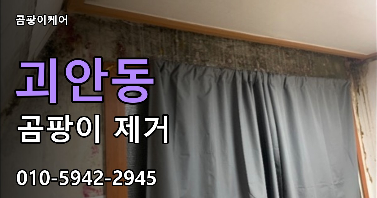 괴안동 곰팡이 제거 - 곰팡이케어 실제 시공 현장