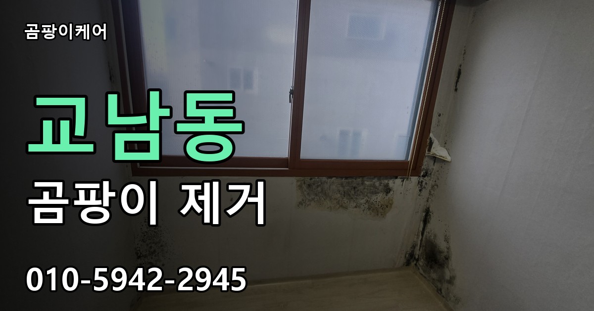 교남동 곰팡이 제거 - 곰팡이케어 실제 시공 현장