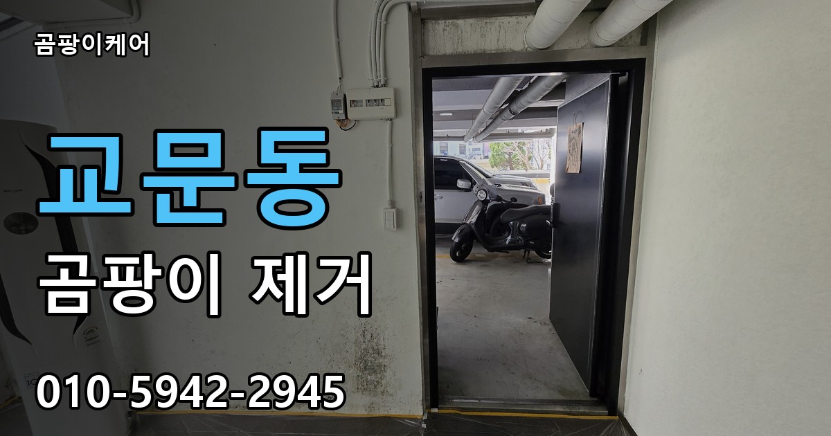 교문동 곰팡이 제거 - 곰팡이케어 실제 시공 현장