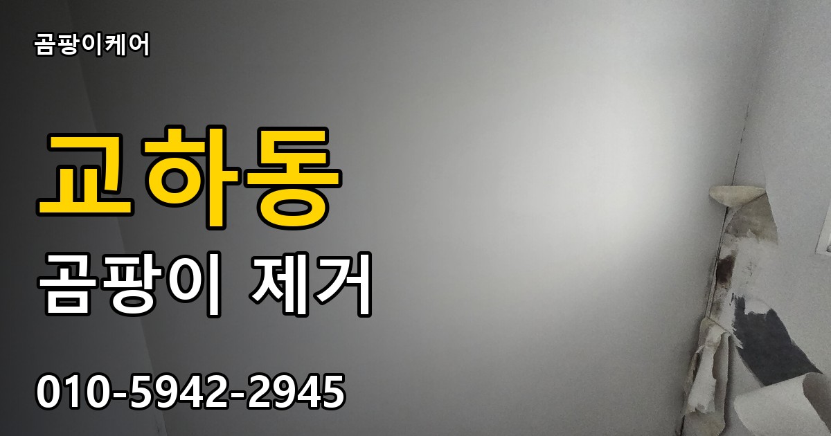 교하동 곰팡이 제거 - 곰팡이케어 실제 시공 현장