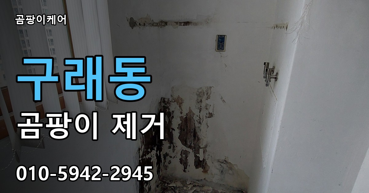 구래동 곰팡이 제거 - 곰팡이케어 실제 시공 현장