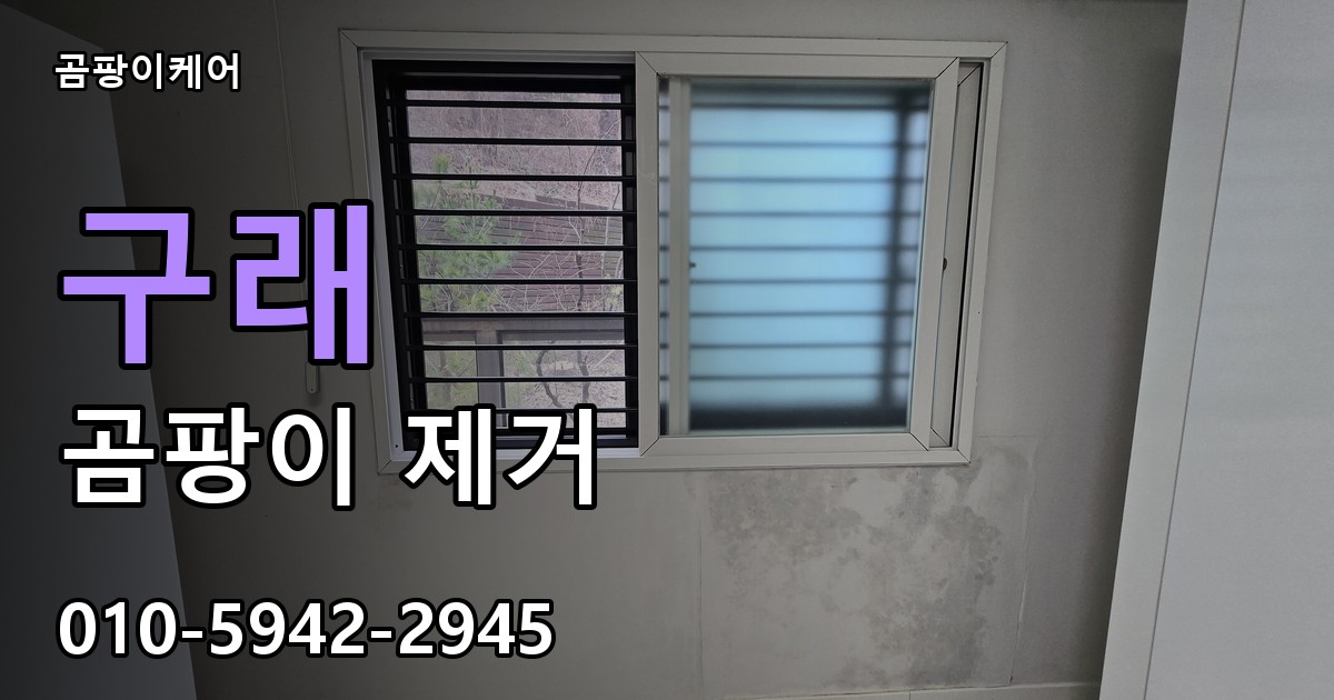 구래 곰팡이 제거 - 곰팡이케어 실제 시공 현장