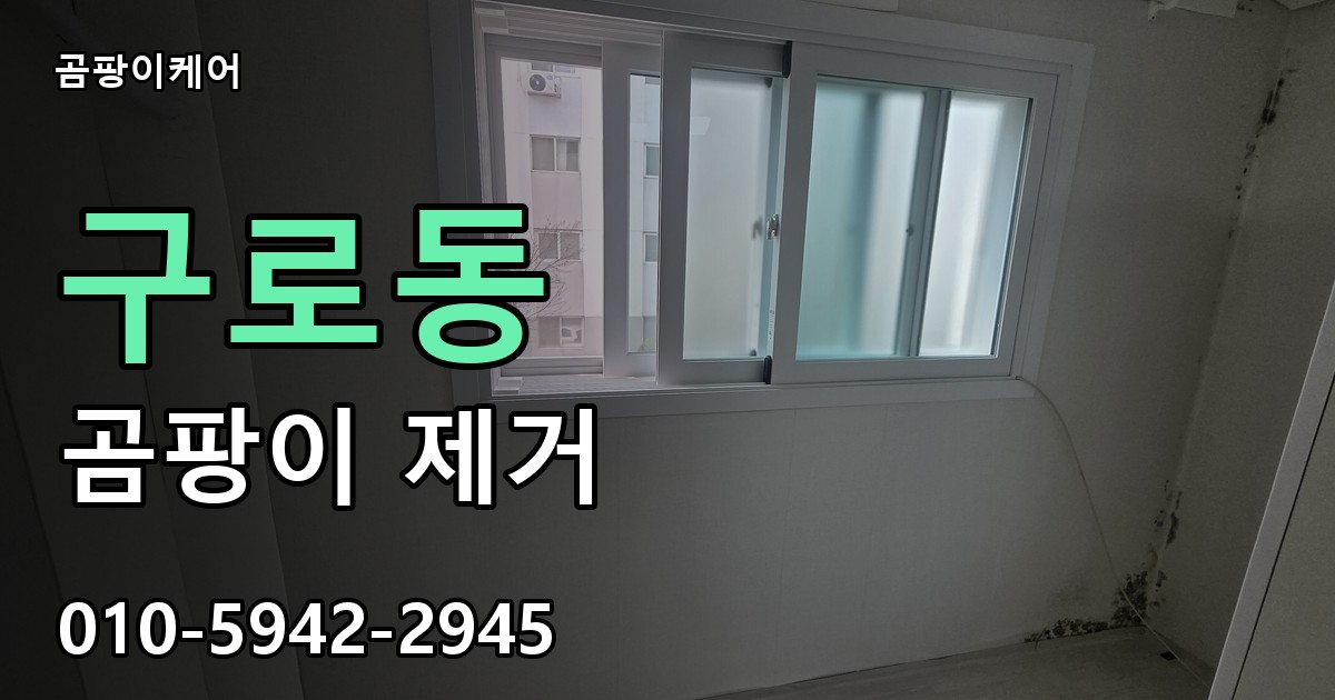 구로동 곰팡이 제거 - 곰팡이케어 실제 시공 현장
