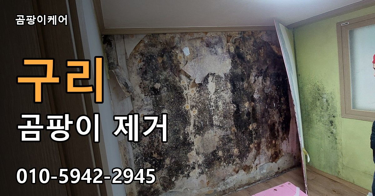 구리 곰팡이 제거 - 곰팡이케어 실제 시공 현장