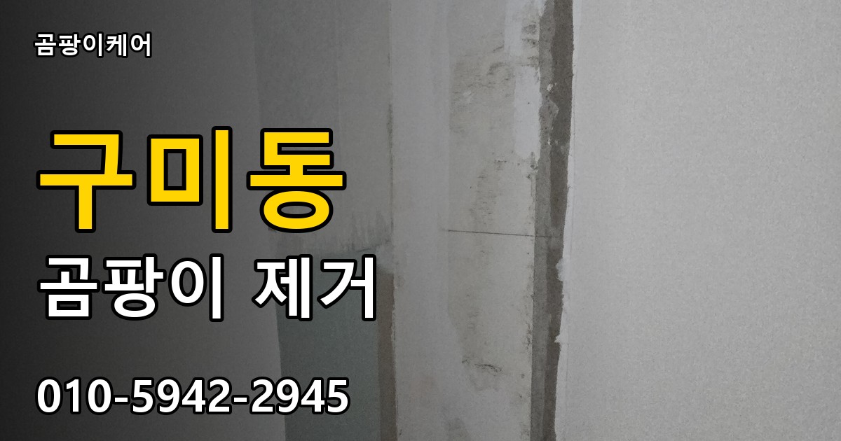 구미동 곰팡이 제거 - 곰팡이케어 실제 시공 현장
