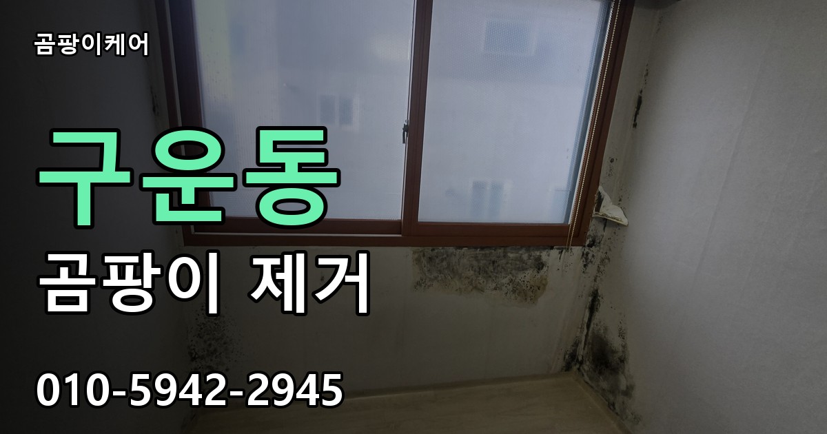 구운동 곰팡이 제거 - 곰팡이케어 실제 시공 현장