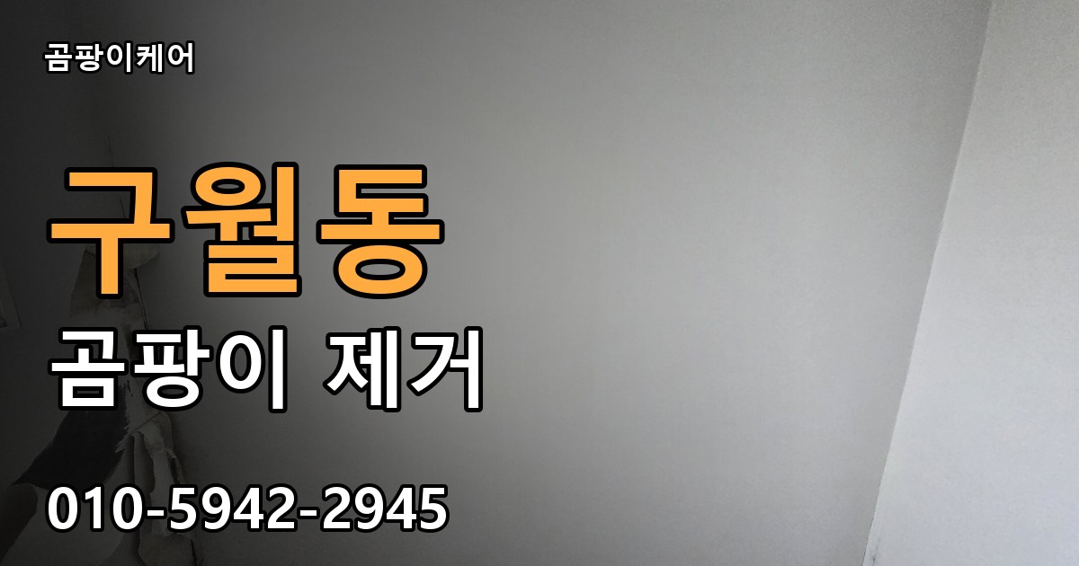 구월동 곰팡이 제거 - 곰팡이케어 실제 시공 현장