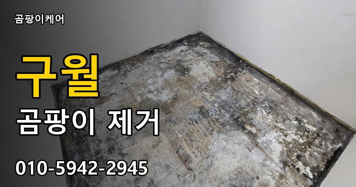 구월 곰팡이 제거 - 곰팡이케어 실제 시공 현장