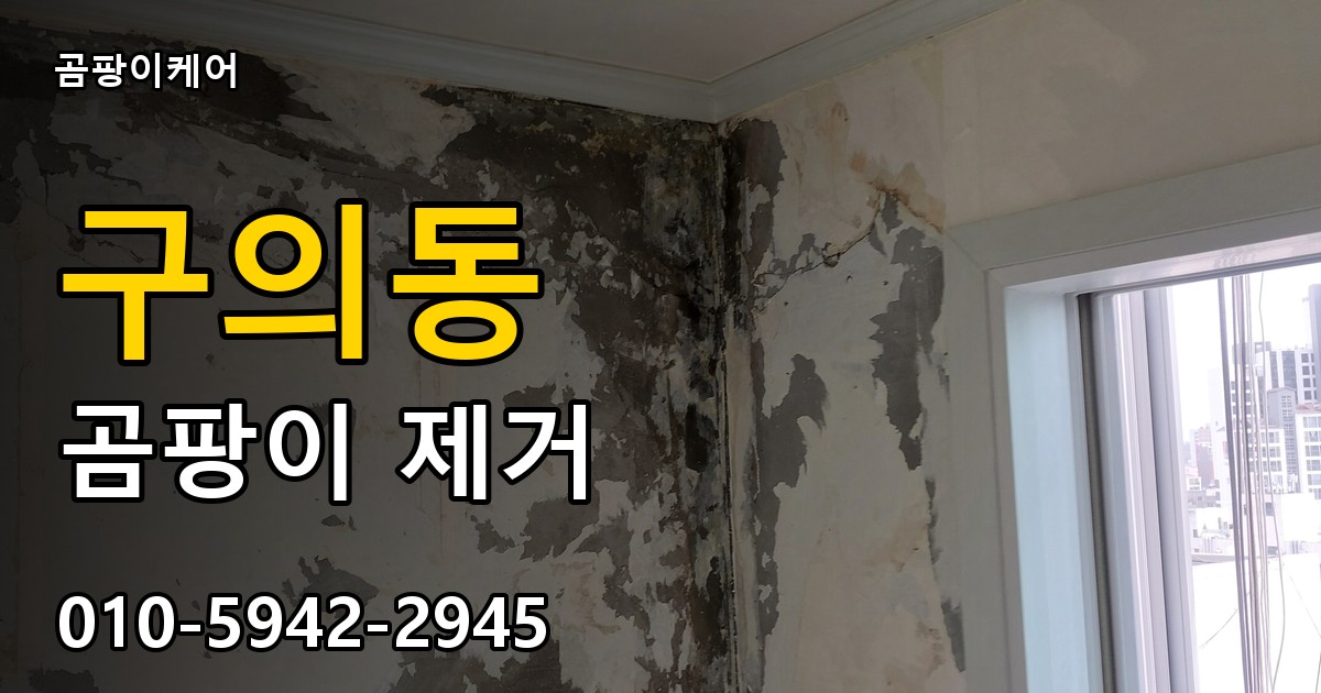 구의동 곰팡이 제거 - 곰팡이케어 실제 시공 현장