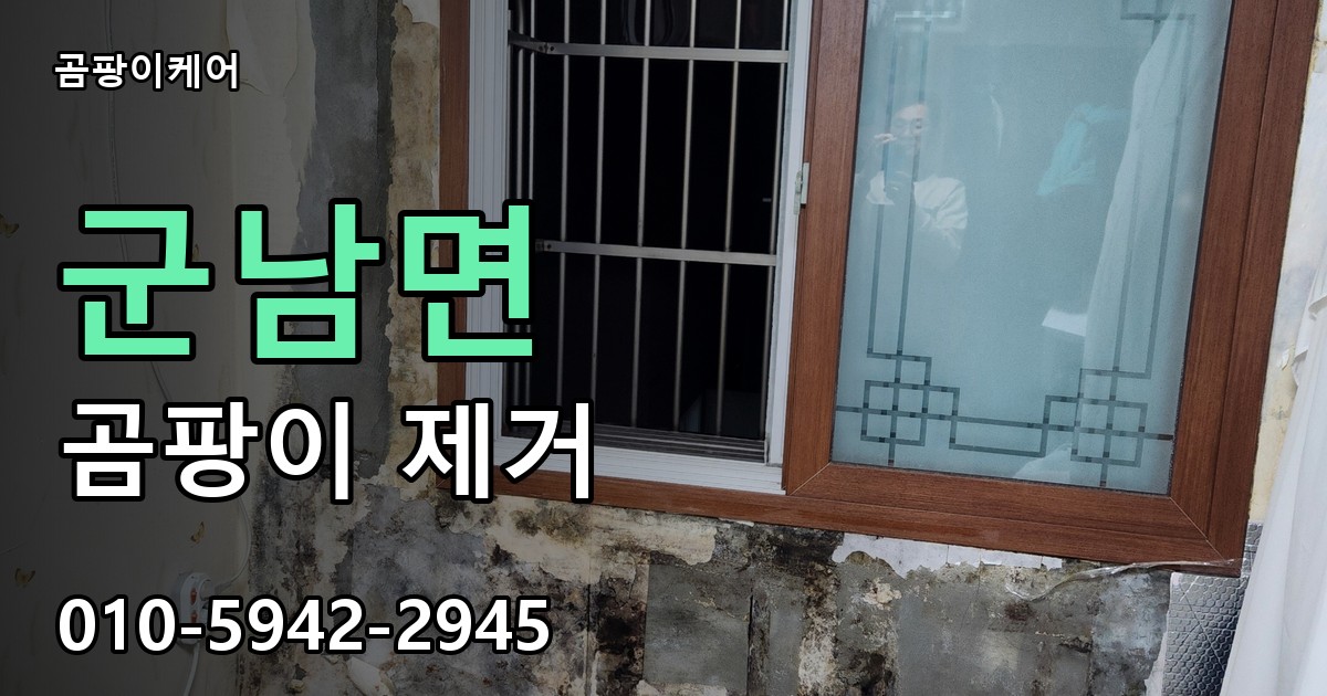 군남면 곰팡이 제거 - 곰팡이케어 실제 시공 현장