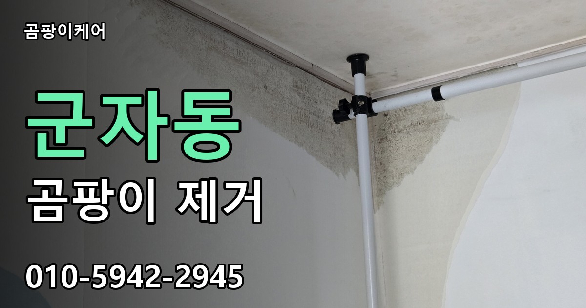 군자동 곰팡이 제거 - 곰팡이케어 실제 시공 현장
