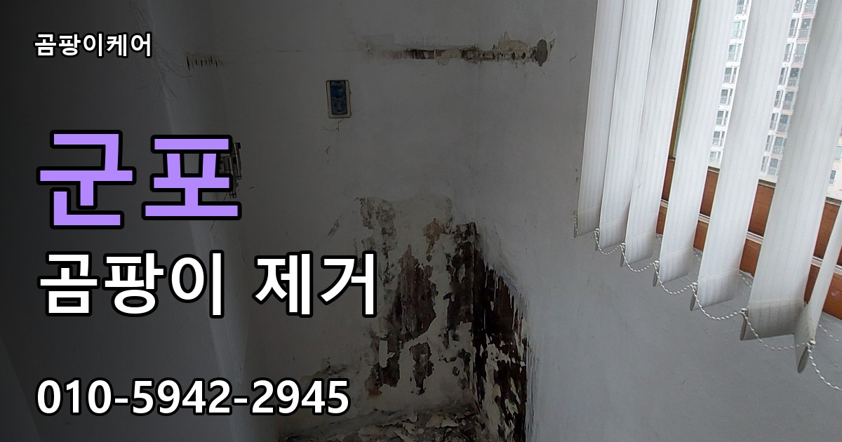 군포 곰팡이 제거 - 곰팡이케어 실제 시공 현장