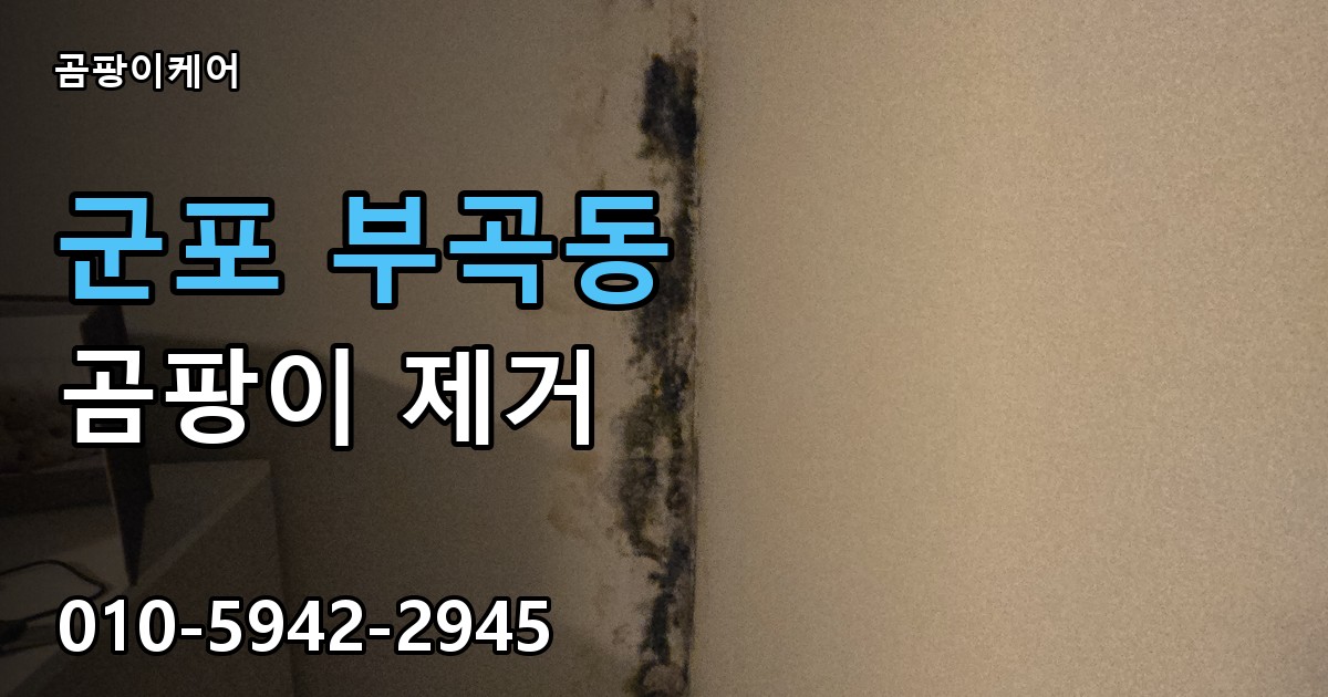 군포 부곡동 곰팡이 제거 - 곰팡이케어 실제 시공 현장