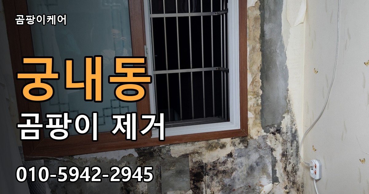 궁내동 곰팡이 제거 - 곰팡이케어 실제 시공 현장