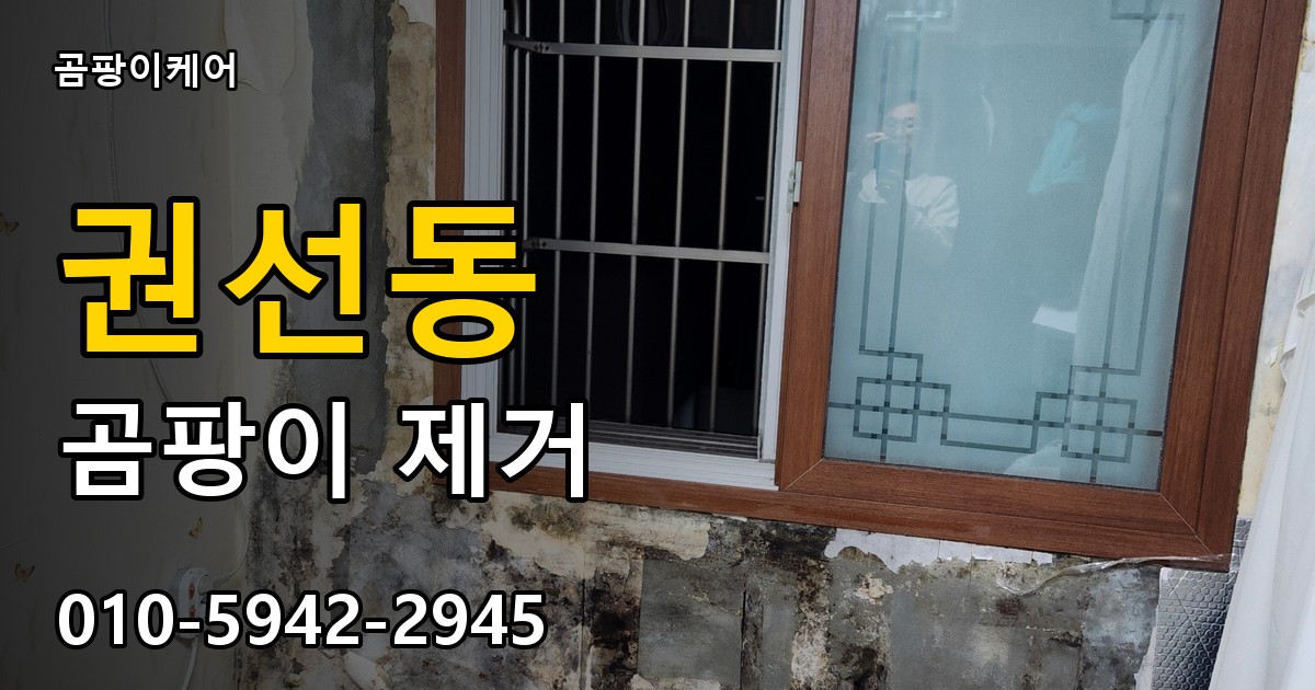 권선동 곰팡이 제거 - 곰팡이케어 실제 시공 현장