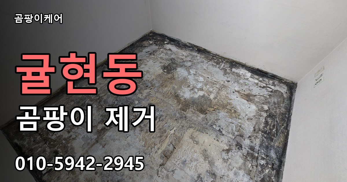 귤현동 곰팡이 제거 - 곰팡이케어 실제 시공 현장